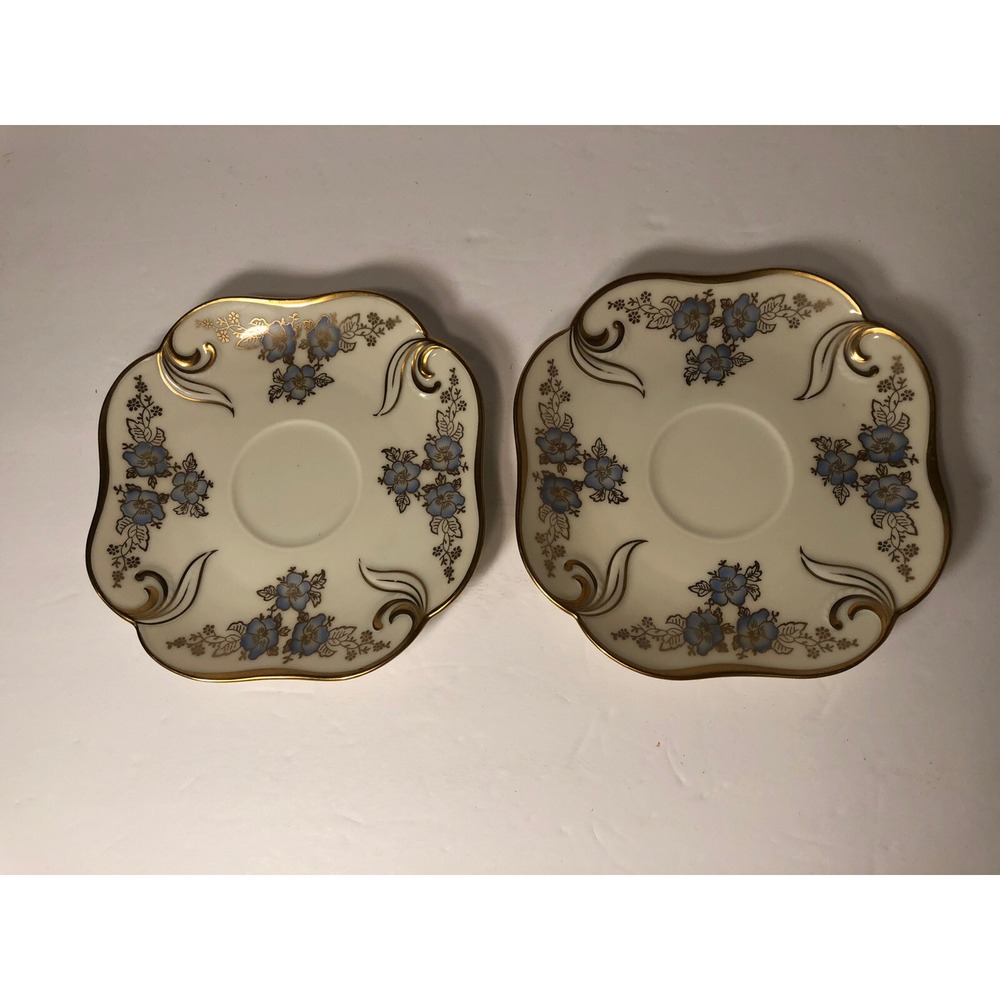 2 VINTAGE BAVARIA ELFENBEIN PORZELLAN TEACUP SAUCER DISH/FLORAL w/GOLD TRIM